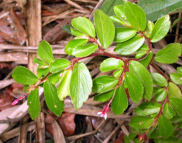 dscn1180.jpg