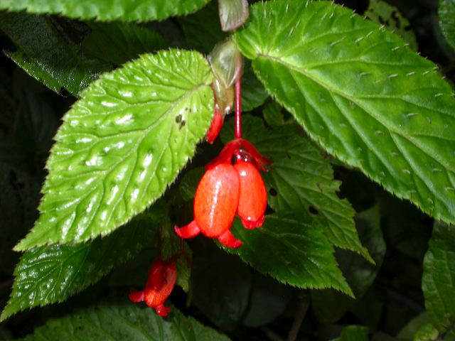 dscn3951.jpg