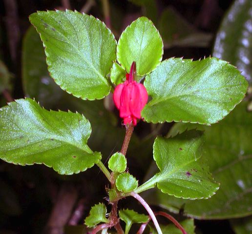 dscn7634.jpg