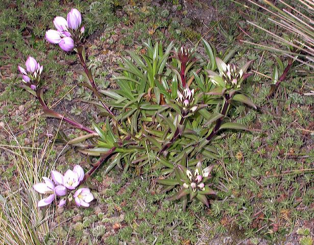 dscn0996.jpg