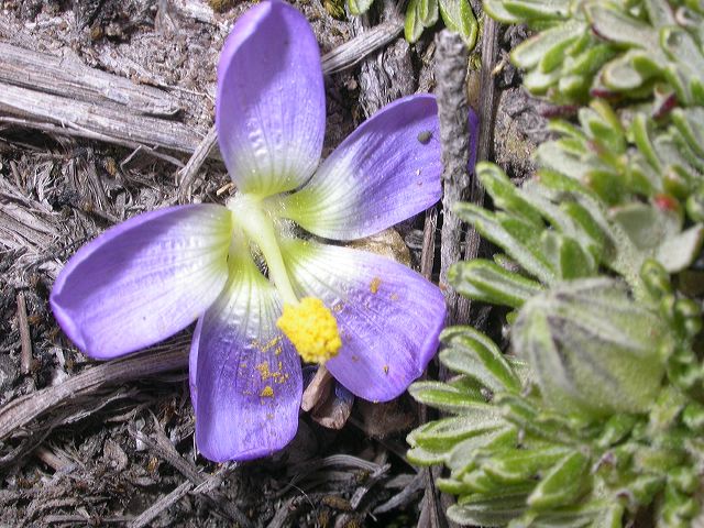 dscn1007.jpg