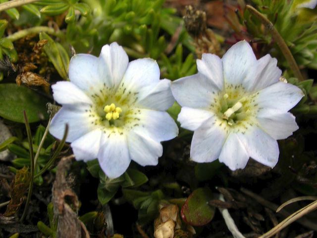 dscn2619.jpg
