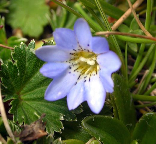 dscn7856.jpg