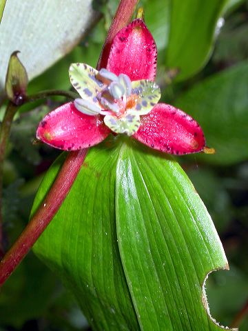dscn0740.jpg