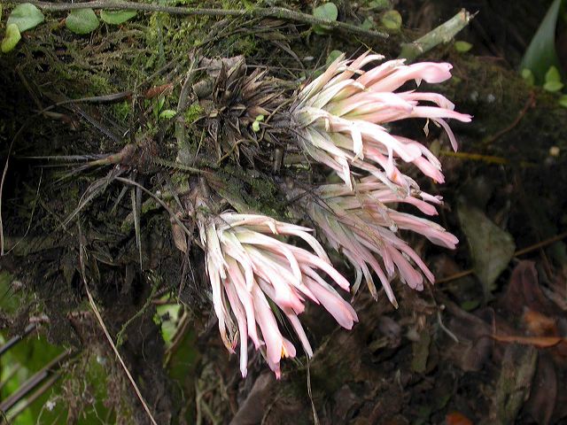 dscn2594.jpg