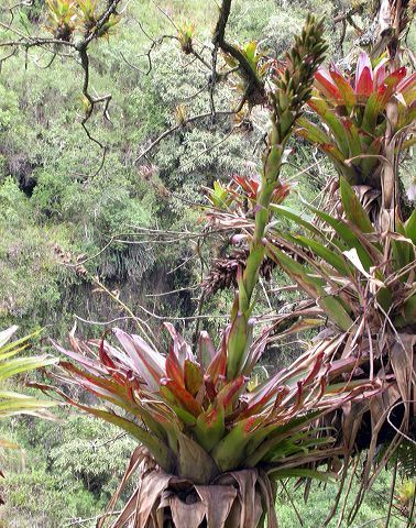 dscn3819.jpg