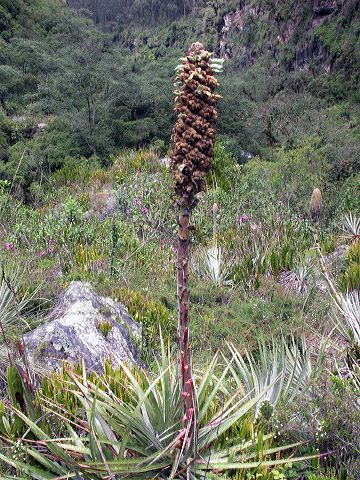 dscn3860.jpg