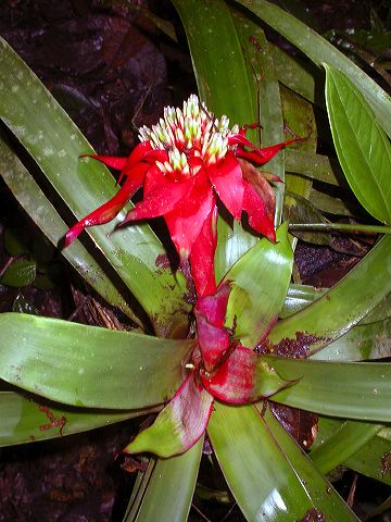 dscn5356.jpg