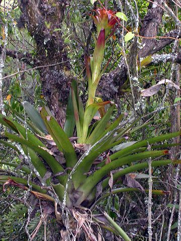 dscn5544.jpg