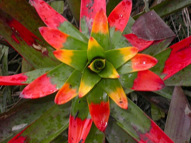 dscn6184.jpg