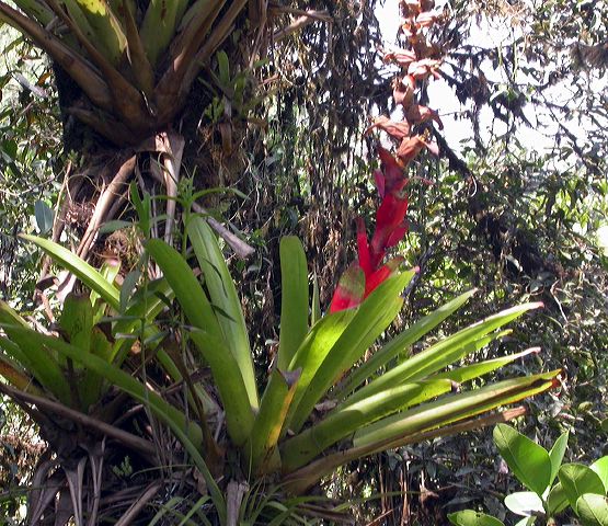 dscn8394.jpg