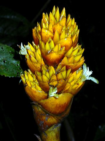 dscn9314.jpg