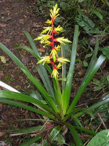 dscn9329.jpg