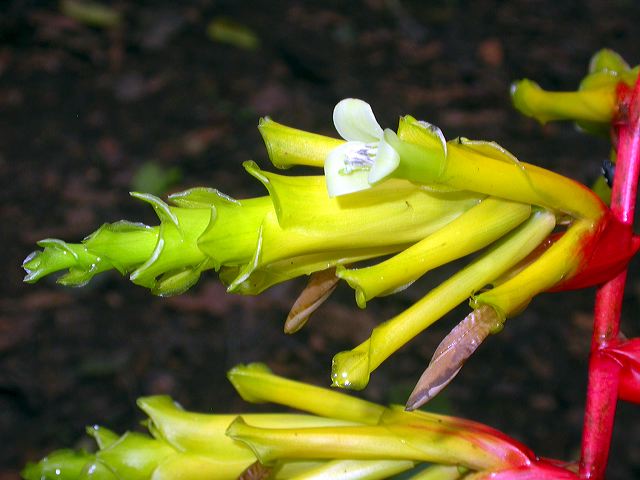 dscn9335.jpg