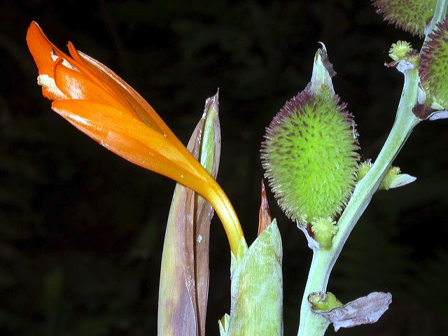 dscn8570.jpg