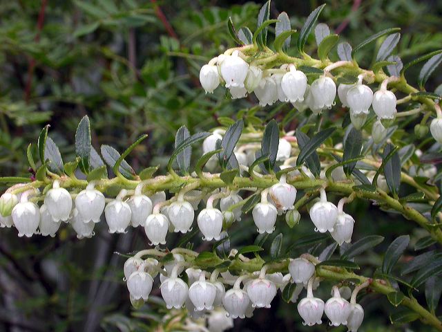 dscn3857.jpg
