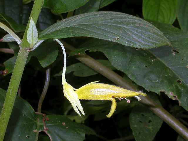 dscn0872.jpg