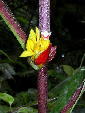 dscn1010.jpg