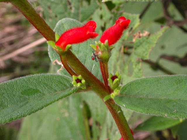 dscn1055.jpg