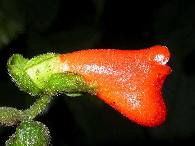 dscn6351.jpg