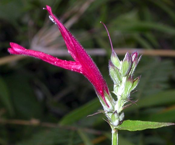 dscn7728.jpg
