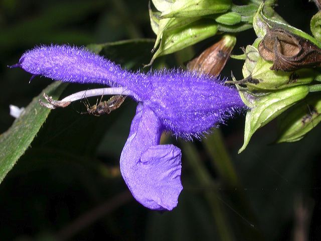 dscn8245.jpg