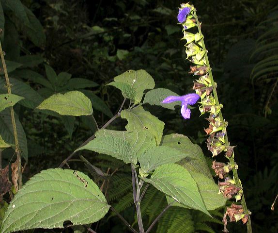 dscn8249.jpg