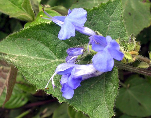 dscn8418.jpg