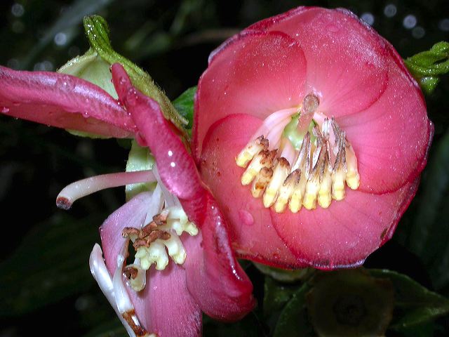 dscn3986.jpg