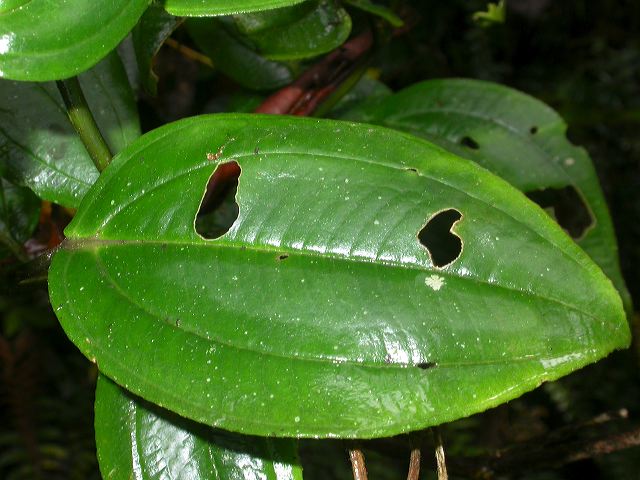 dscn3989.jpg