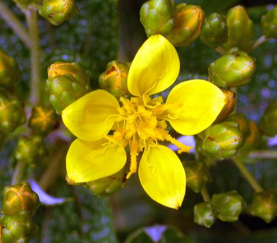 dscn7795.jpg