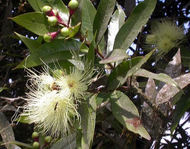 dscn8404.jpg