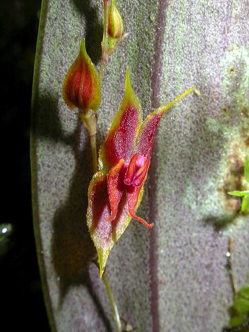 dscn1124.jpg