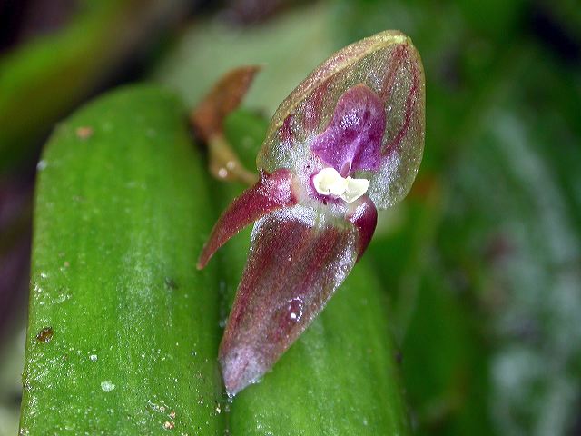 dscn1204.jpg