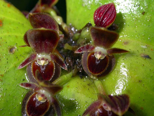 dscn3894.jpg
