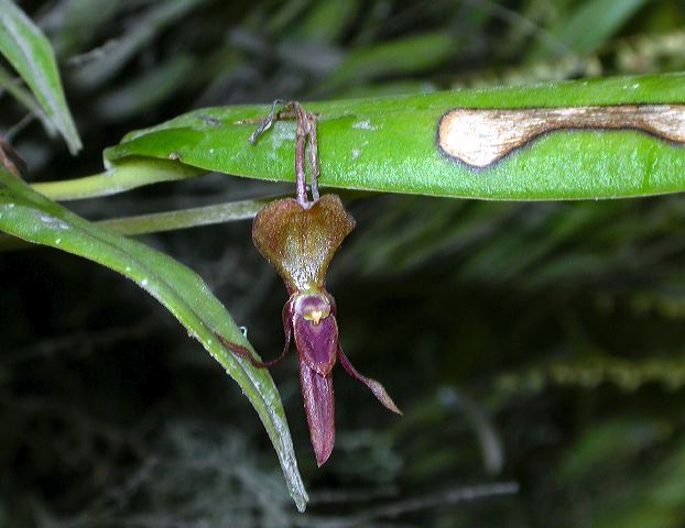 dscn6188.jpg