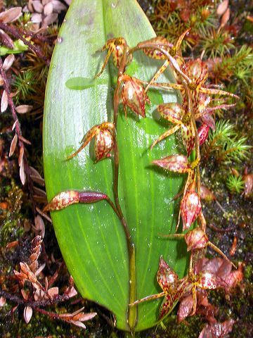 dscn8018.jpg