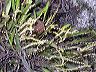 dscn6190