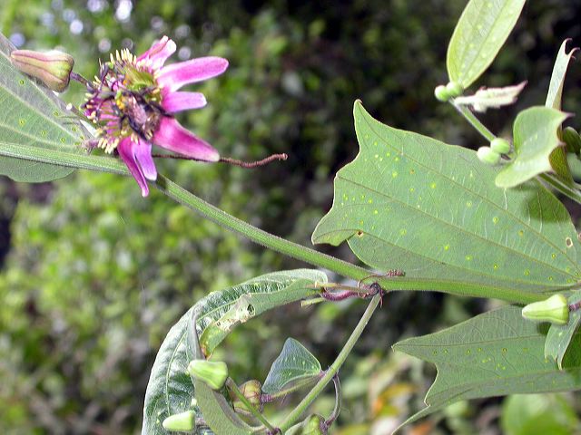 dscn4009.jpg