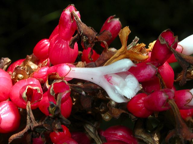 dscn1302.jpg