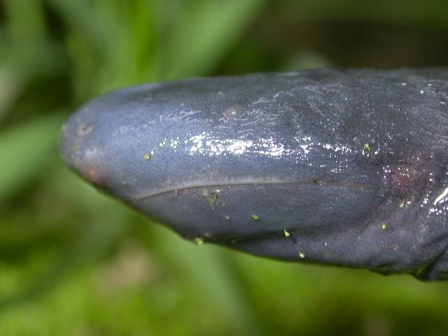 dscn7780.jpg