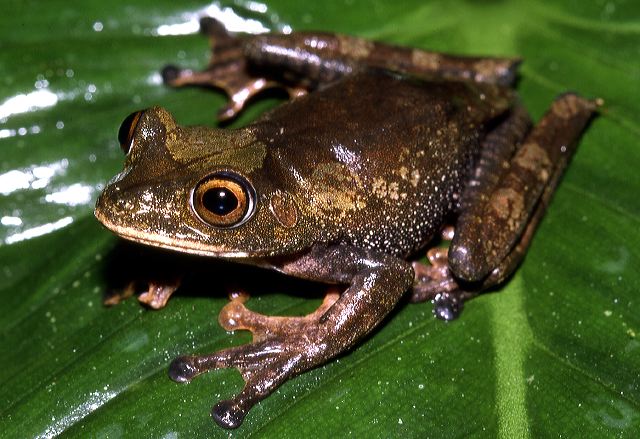 h.geo._domono_macas_87.jpg