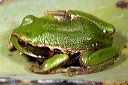 _mg_0219_16jano7