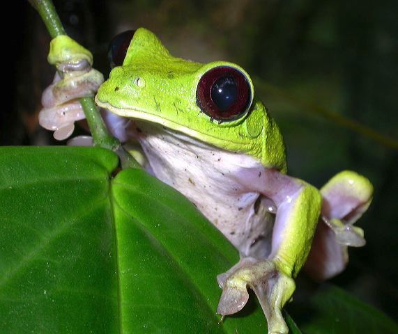dscn5398.jpg