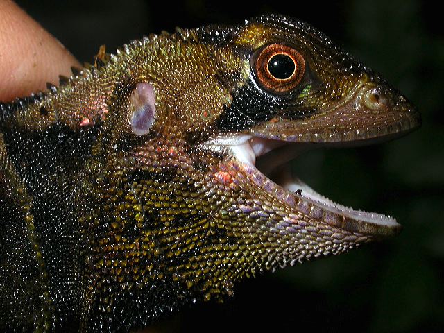 dscn5339.jpg