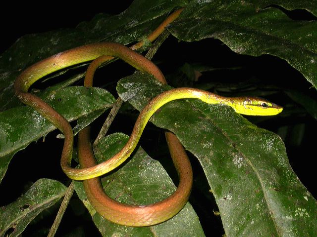 dscn5047.jpg