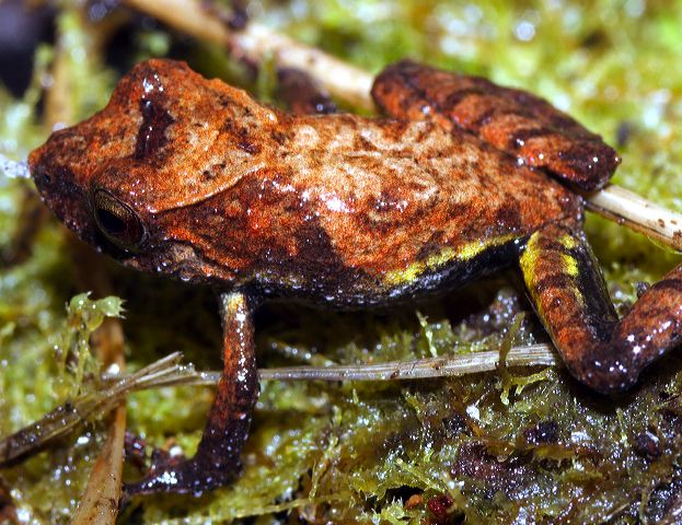 _mg_3176.jpg