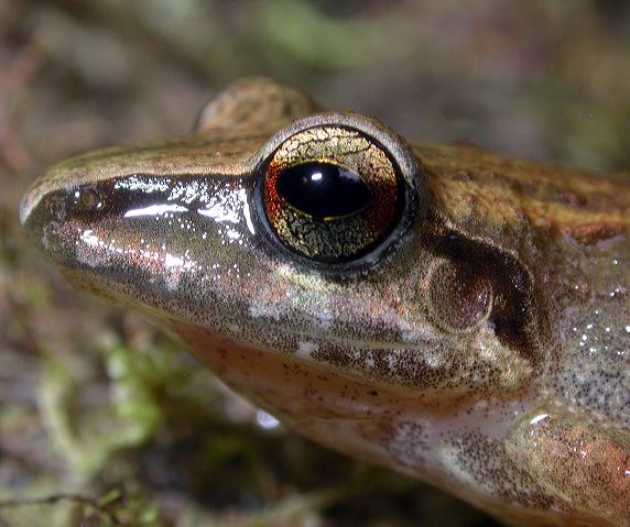 dscn8465.jpg