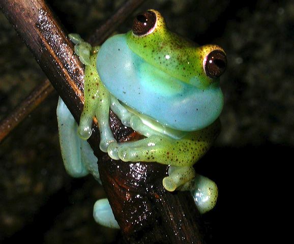 dscn8610.jpg